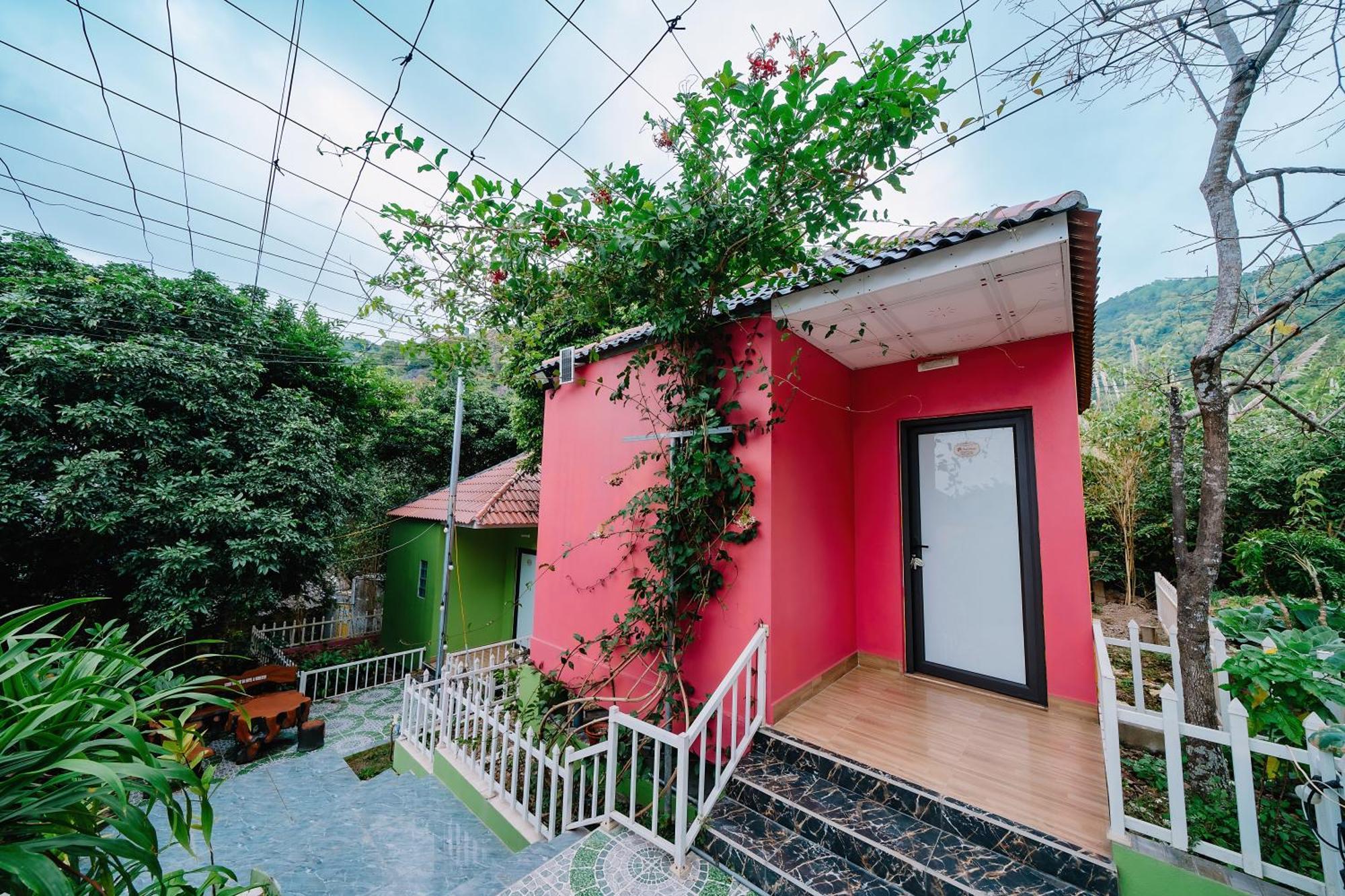 Windy Homestay Cat Ba Island Esterno foto