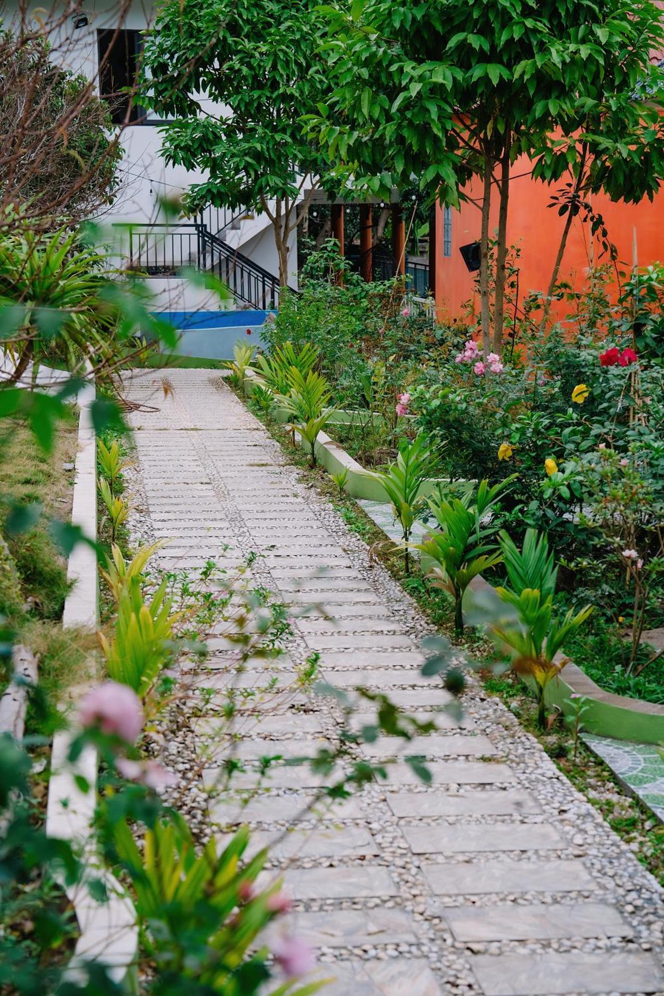 Windy Homestay Cat Ba Island Esterno foto